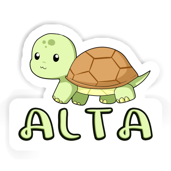 Schildkröte Sticker Alta Notebook Schildkröte Sticker Alta Gift package Image