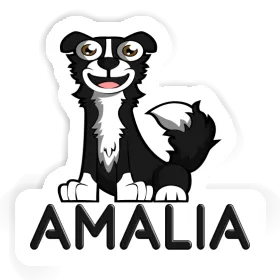 Amalia Autocollant Border Collie Image