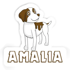 Autocollant Amalia Bretagne chien Image