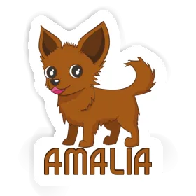 Sticker Amalia Chihuahua Image