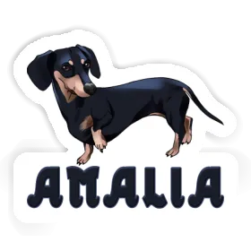 Sticker Amalia Dachshund Image