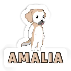 Autocollant Golden Retriever Amalia Image