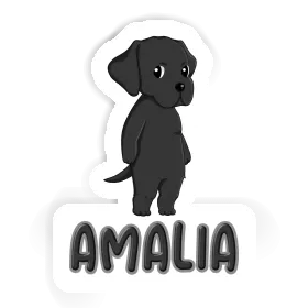 Amalia Autocollant Labrador Image