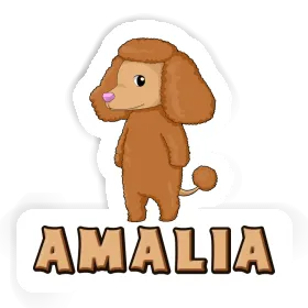 Autocollant Caniche Amalia Image