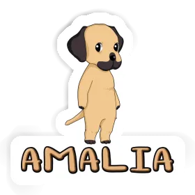 Amalia Autocollant Rhodesian Ridgeback Image