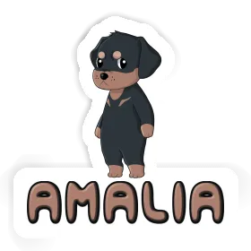 Rottweiler Autocollant Amalia Image