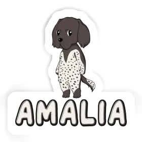 Sticker Amalia Small Munsterlander Image