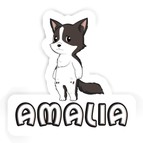 Amalia Autocollant Collie border Image