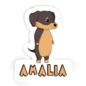 Autocollant Dachshund Amalia Image