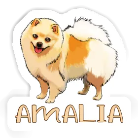 Sticker German Spitz Amalia Image