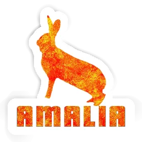 Rabbit Sticker Amalia Image