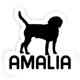 Autocollant Chien Amalia Image