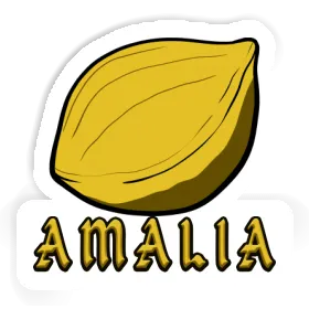 Sticker Amalia Nut Image