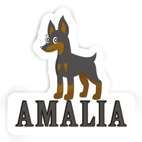 Amalia Autocollant Pinscher Image