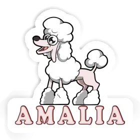 Caniche Autocollant Amalia Image