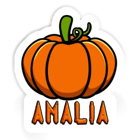 Pumpkin Sticker Amalia Image