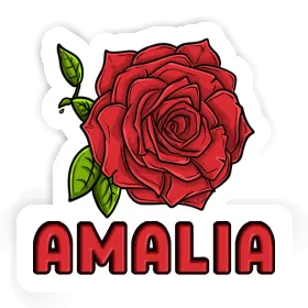 Rose blossom Sticker Amalia Image