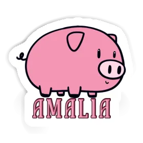 Pig Sticker Amalia Image