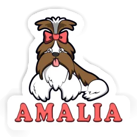 Sticker Shih Tzu Amalia Image