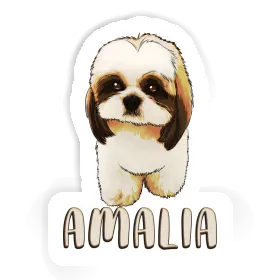 Autocollant Shih Tzu Amalia Image