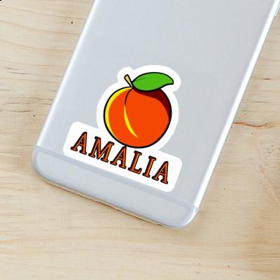 Sticker Aprikose Amalia Notebook Image