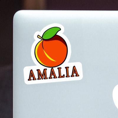 Apricot Sticker Amalia Notebook Image