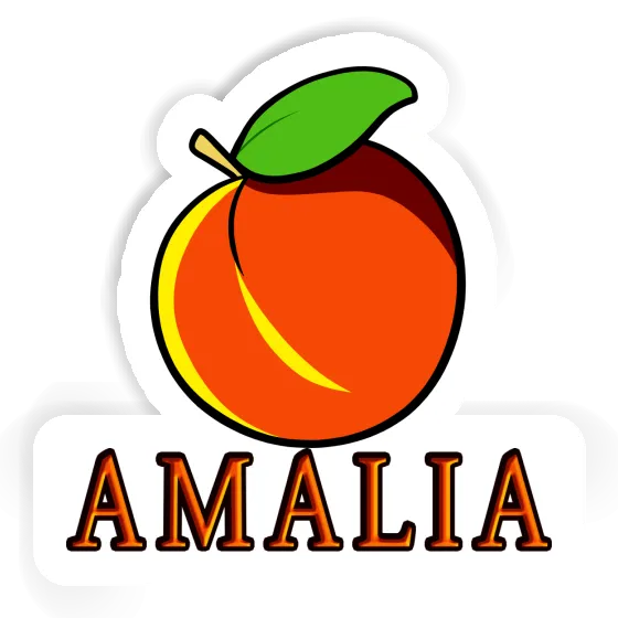 Apricot Sticker Amalia Notebook Image