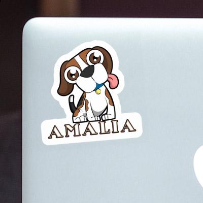 Amalia Sticker Beagle Gift package Image