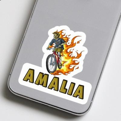 Biker Sticker Amalia Gift package Image