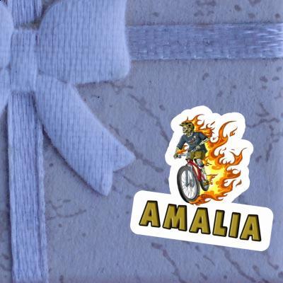 Biker Sticker Amalia Gift package Image