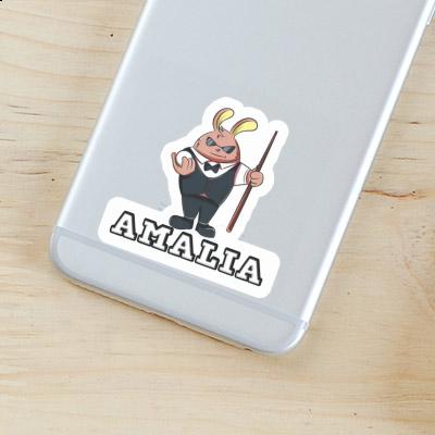 Sticker Billardspieler Amalia Notebook Image