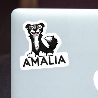 Amalia Sticker Border Collie Laptop Image