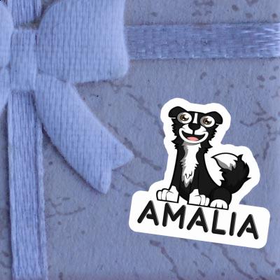 Amalia Autocollant Border Collie Notebook Image