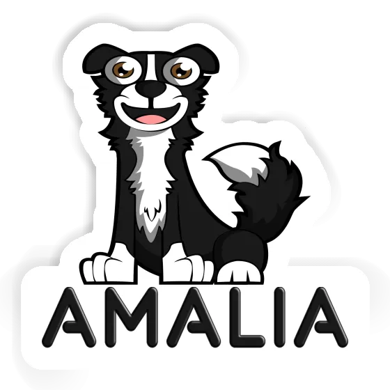 Amalia Autocollant Border Collie Laptop Image