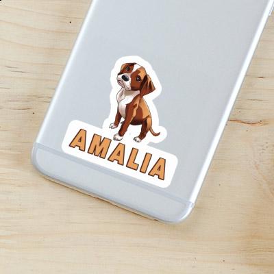 Amalia Sticker Boxer Dog Gift package Image