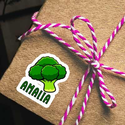 Autocollant Amalia Brocoli Gift package Image