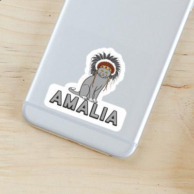 Sticker Indian Cat Amalia Gift package Image