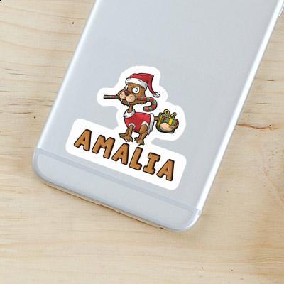 Amalia Sticker Cat Gift package Image