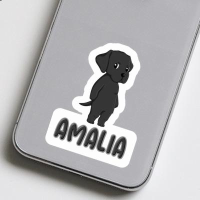 Amalia Autocollant Labrador Gift package Image