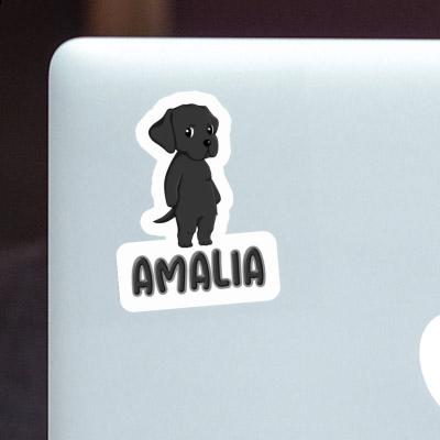 Amalia Autocollant Labrador Gift package Image