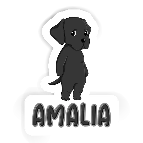 Amalia Autocollant Labrador Notebook Image