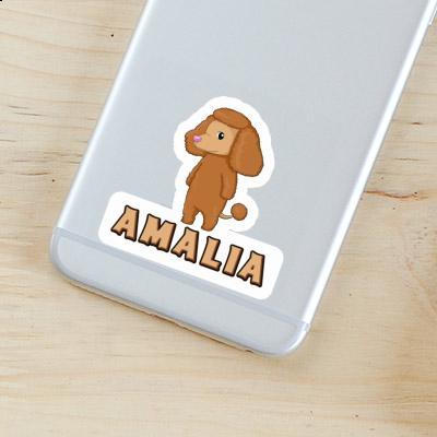 Autocollant Caniche Amalia Laptop Image