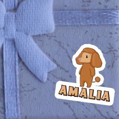 Autocollant Caniche Amalia Gift package Image