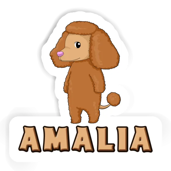 Autocollant Caniche Amalia Laptop Image