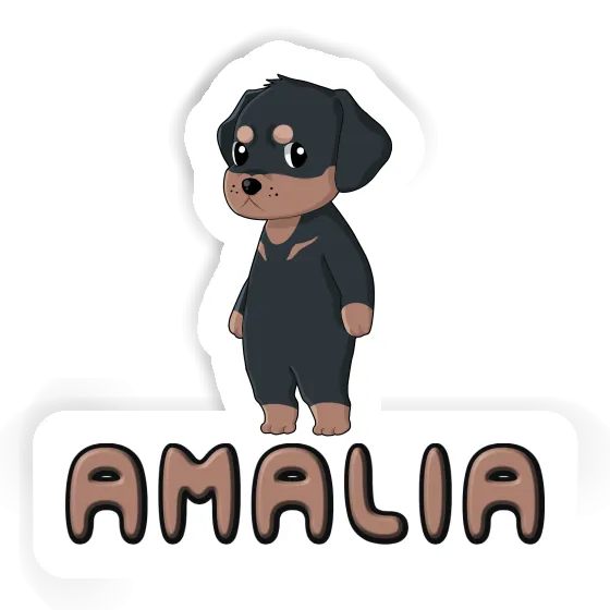 Rottweiler Autocollant Amalia Gift package Image