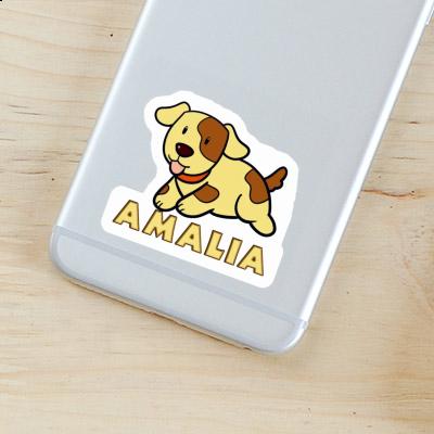 Sticker Dog Amalia Gift package Image