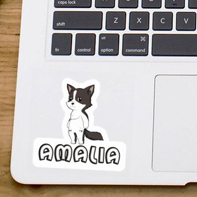 Amalia Autocollant Collie border Notebook Image