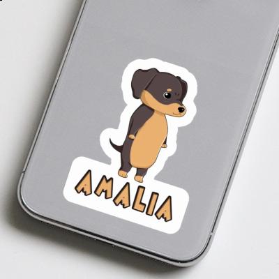 Autocollant Dachshund Amalia Image