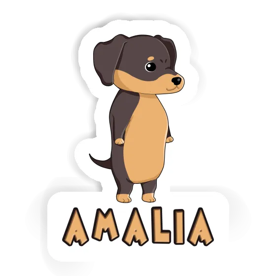 Autocollant Dachshund Amalia Notebook Image