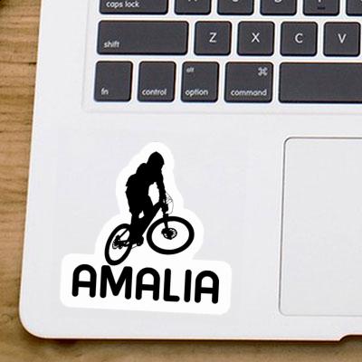 Amalia Autocollant Downhiller Gift package Image